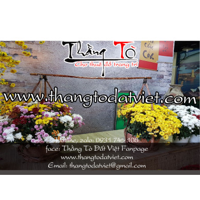tiểu cảnh tết đẹp5